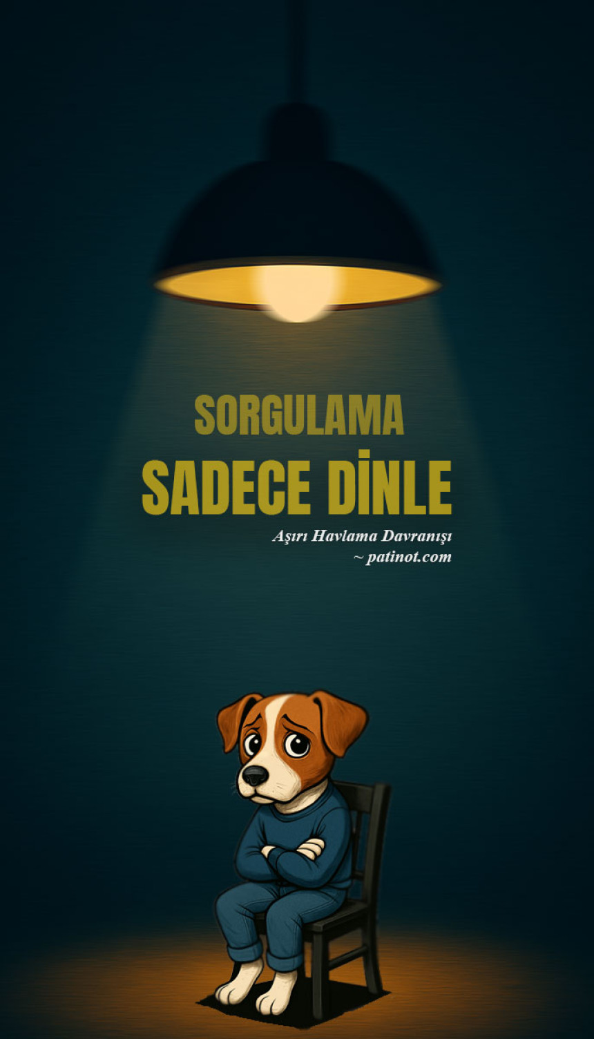 Aşırı Havlama Davranışı